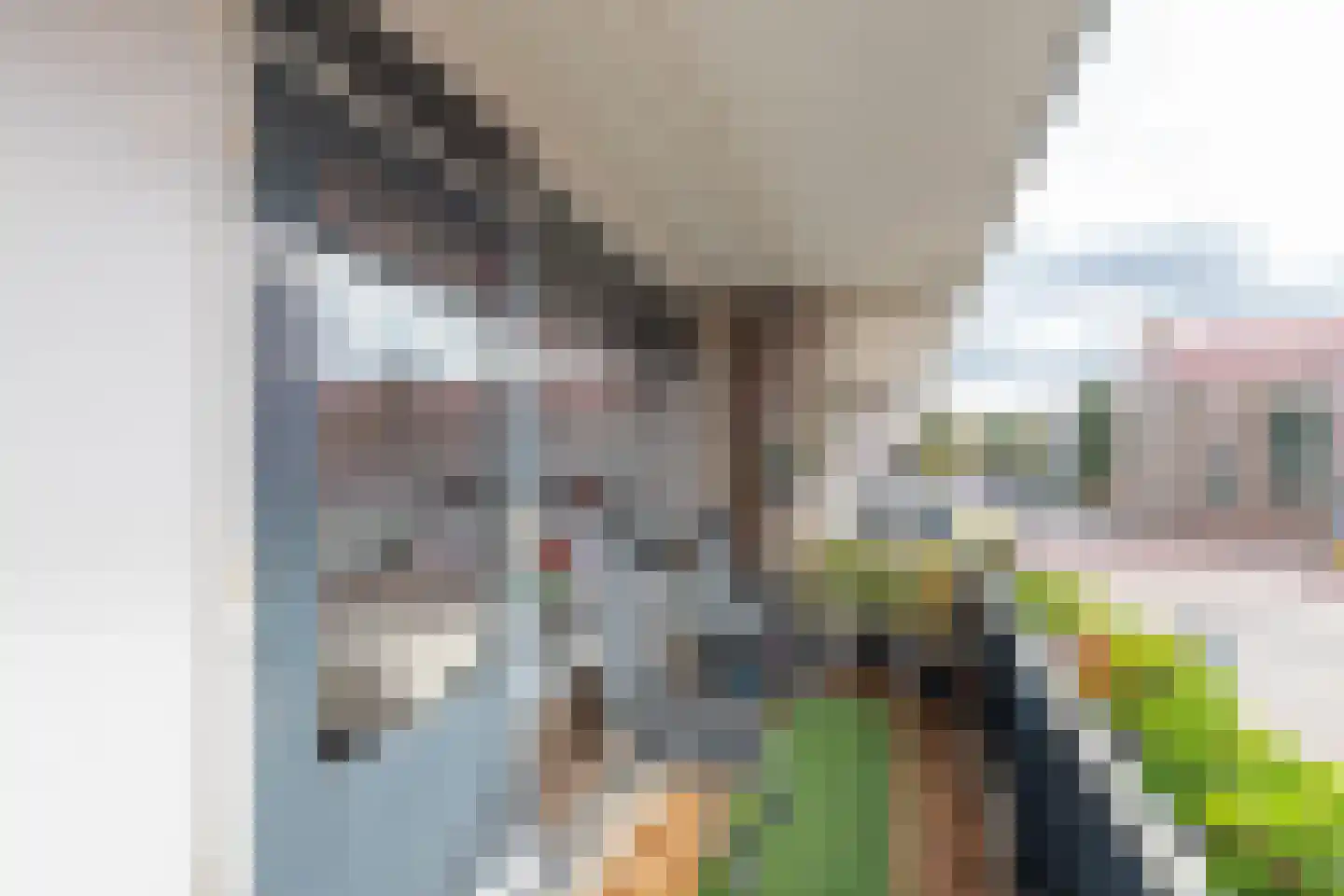 Scheldestraat 11 IJmuiden thumbnail 27