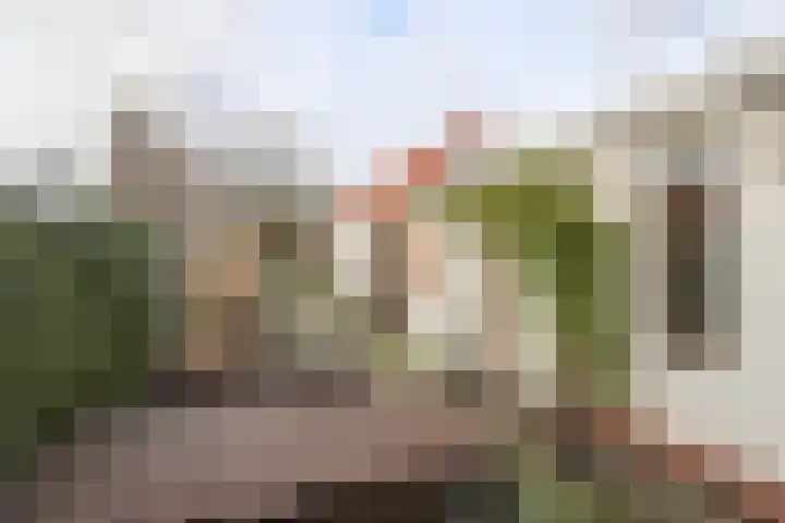 Scheldestraat 113 Goes thumbnail 25