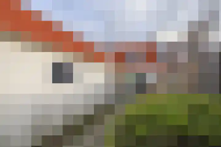 Scheldestraat 113 Goes thumbnail 27