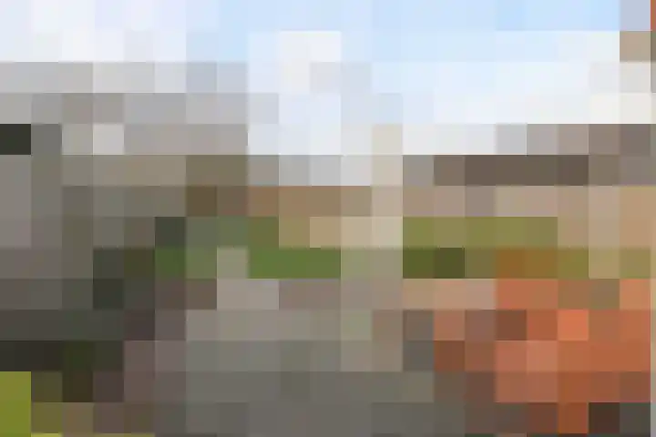 Scheldestraat 113 Goes thumbnail 28