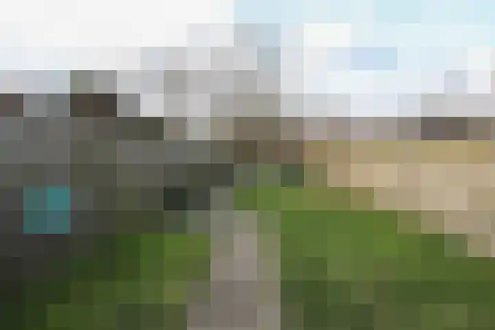 Scheldestraat 113 Goes thumbnail 29