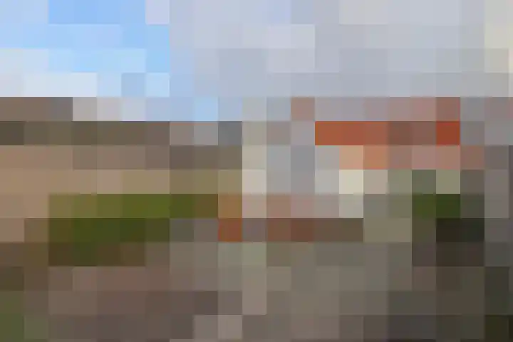 Scheldestraat 113 Goes thumbnail 30