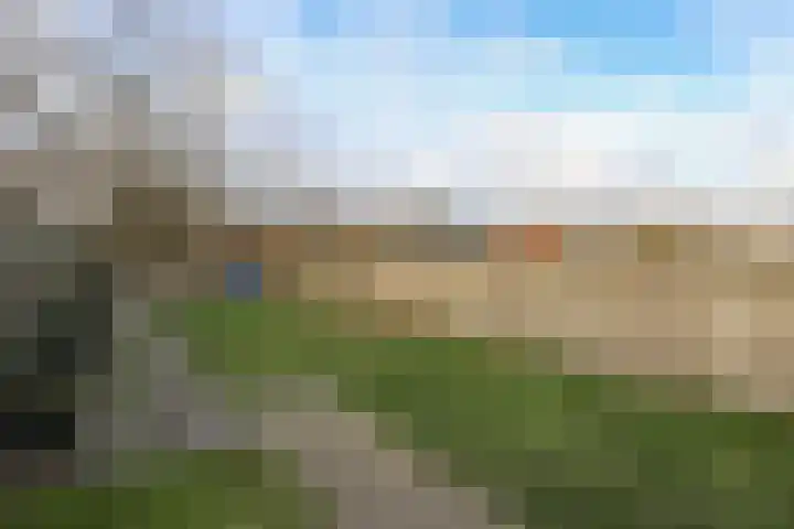 Scheldestraat 113 Goes thumbnail 31