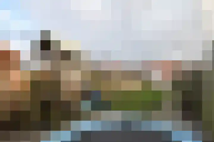 Scheldestraat 113 Goes thumbnail 33