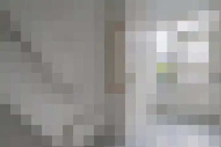 Scheldestraat 113 Goes thumbnail 4