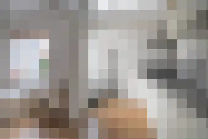 Scheldestraat 113 Goes thumbnail 5