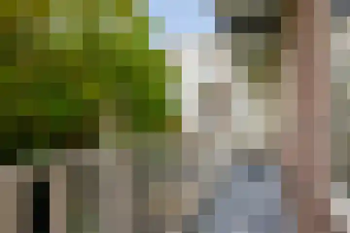 Scheldestraat 14 3R Amsterdam thumbnail 14
