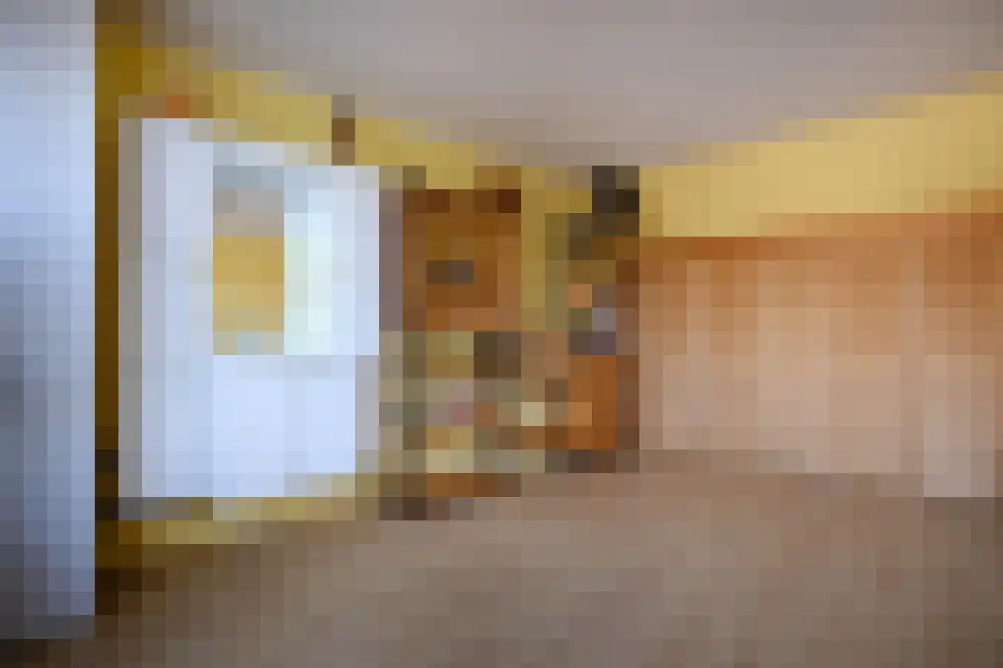 Scheldestraat 18 Utrecht thumbnail 15