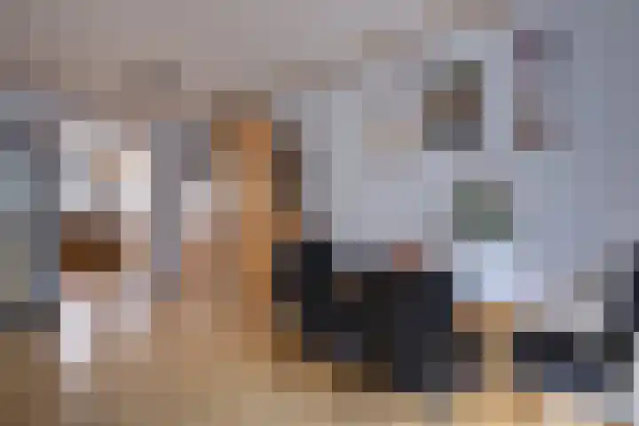 Scheldestraat 18 Utrecht thumbnail 4
