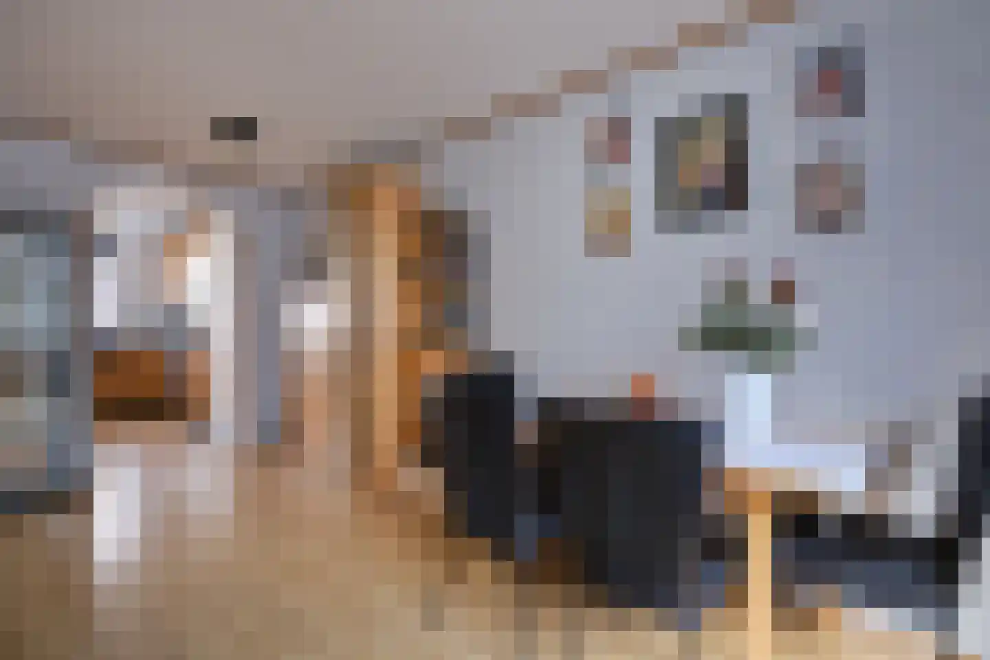 Scheldestraat 18 Utrecht thumbnail 4