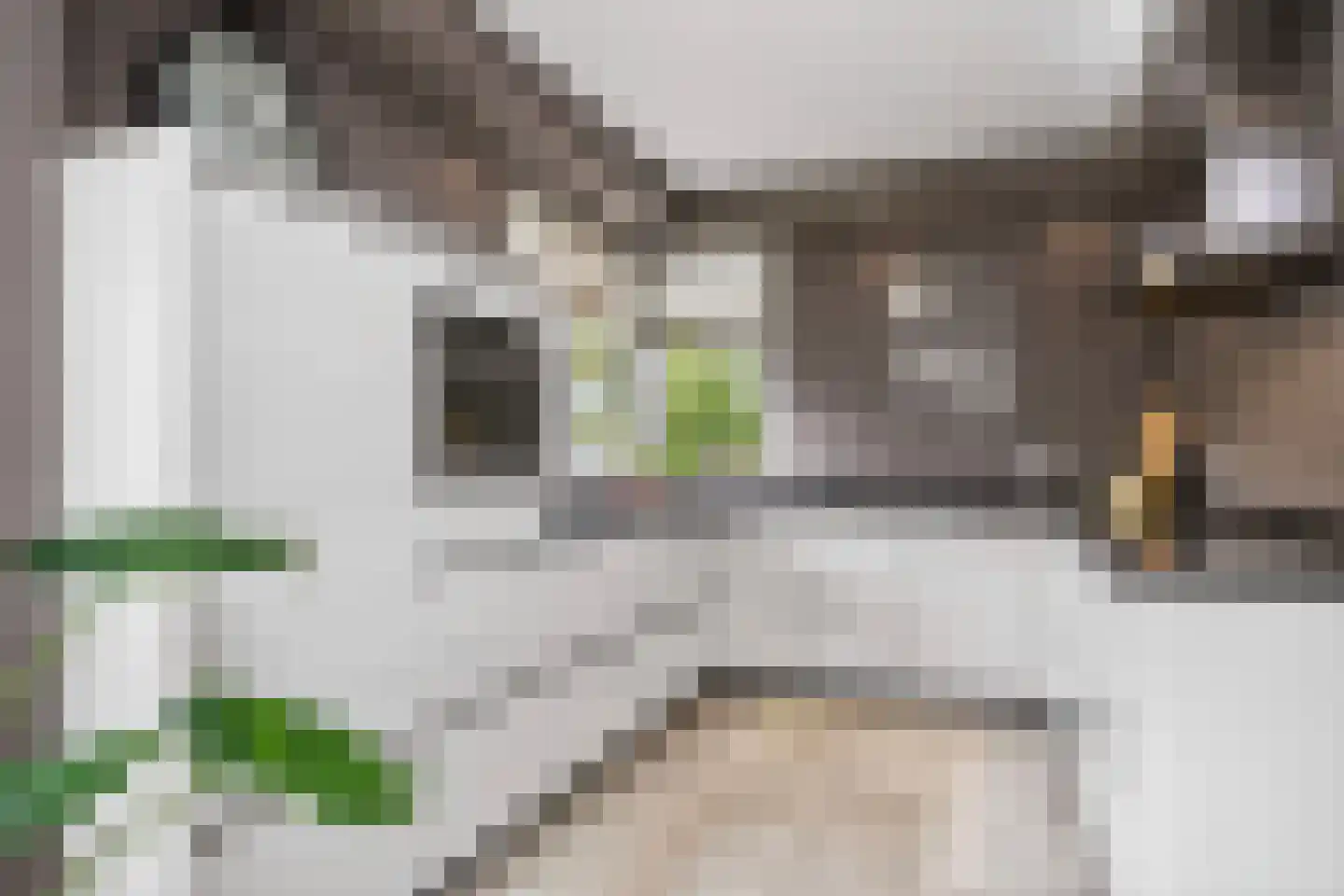 Scheldestraat 19 Hengelo thumbnail 17