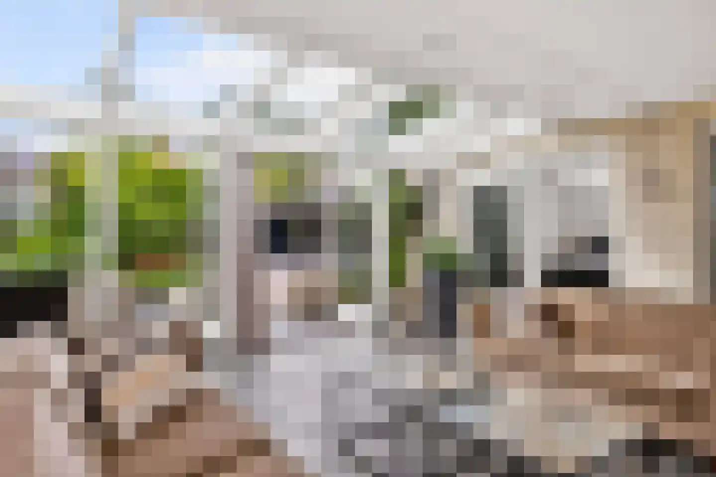 Scheldestraat 19 Hengelo thumbnail 20