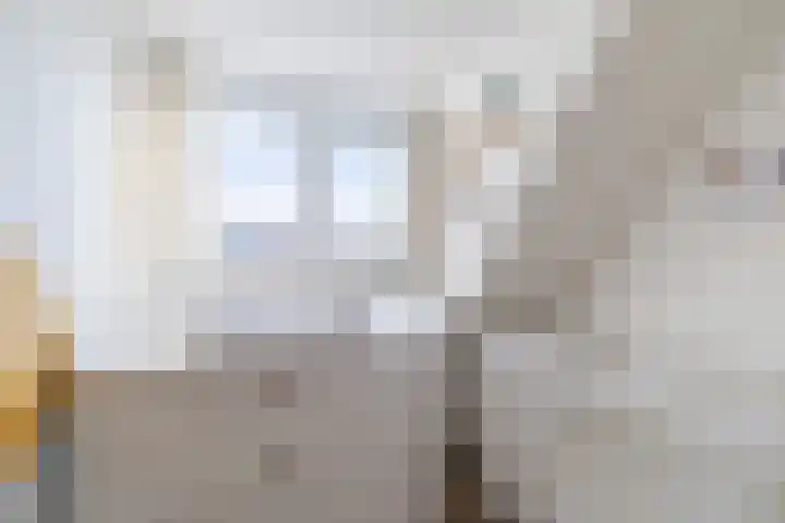 Scheldestraat 21 BS Utrecht thumbnail 23