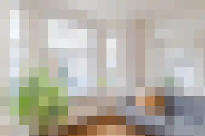 Scheldestraat 21 BS Utrecht thumbnail 6
