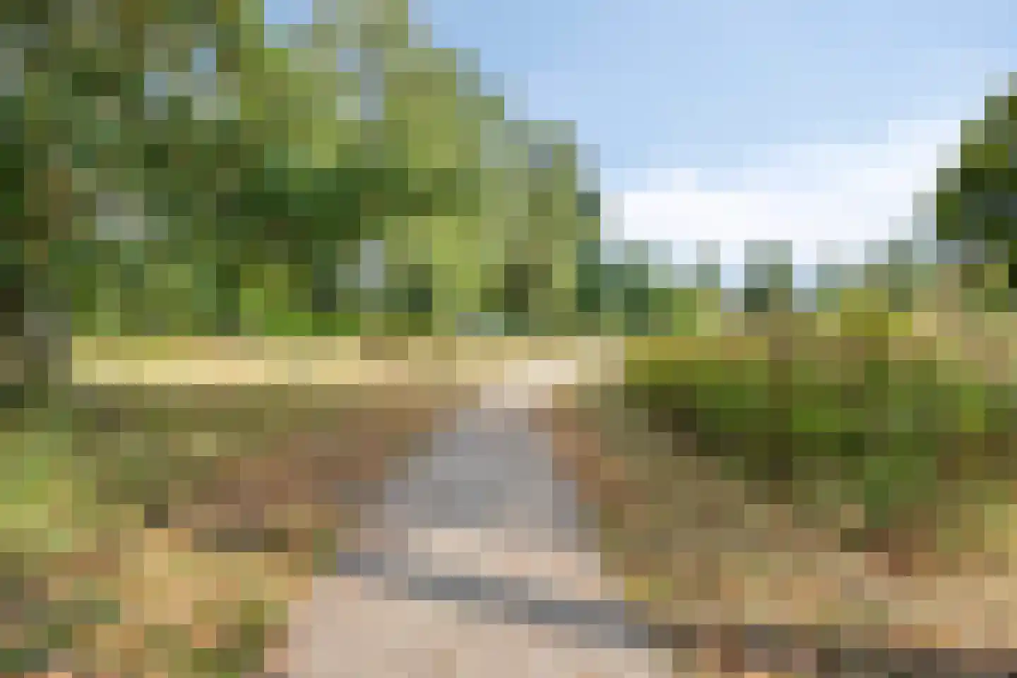 Scheldestraat 22 Apeldoorn thumbnail 28