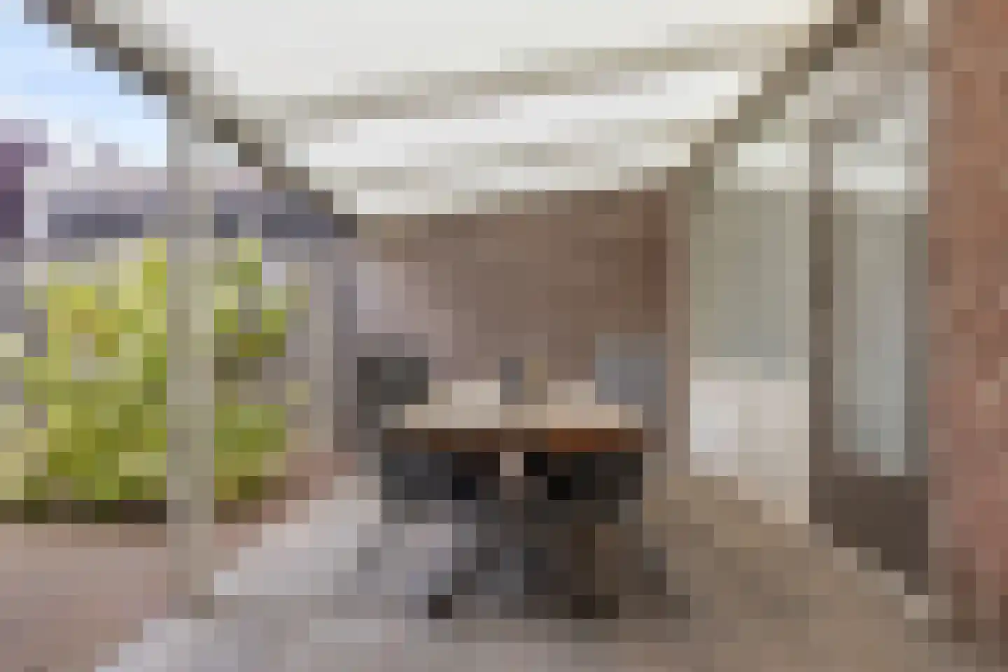 Scheldestraat 23 Budel thumbnail 24