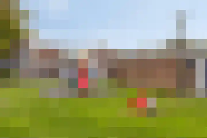 Scheldestraat 23 Budel thumbnail 24