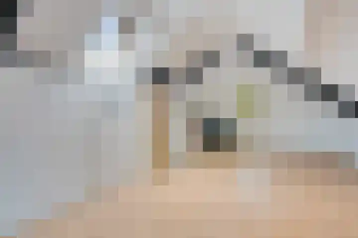Scheldestraat 29 Hengelo thumbnail 34