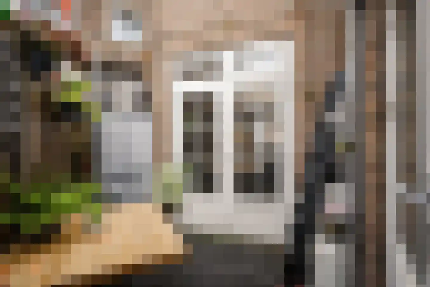 Scheldestraat 3 Haarlem thumbnail 15