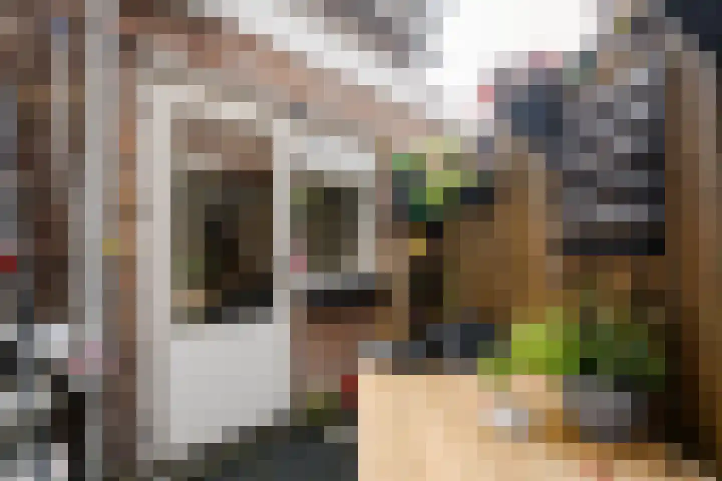 Scheldestraat 3 Haarlem thumbnail 16