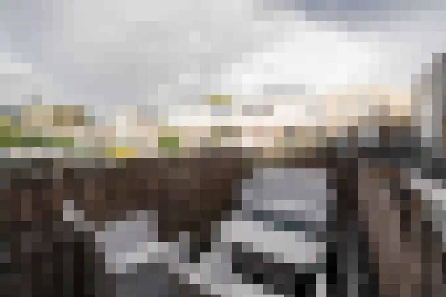 Scheldestraat 3 Haarlem thumbnail 33