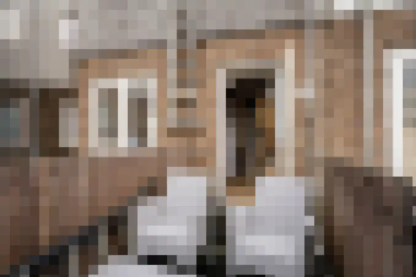 Scheldestraat 3 Haarlem thumbnail 35