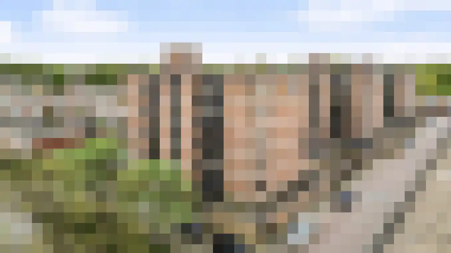 Scheldestraat 30 Apeldoorn thumbnail 35