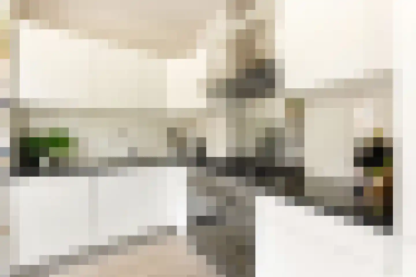 Scheldestraat 31 1 Amsterdam thumbnail 10