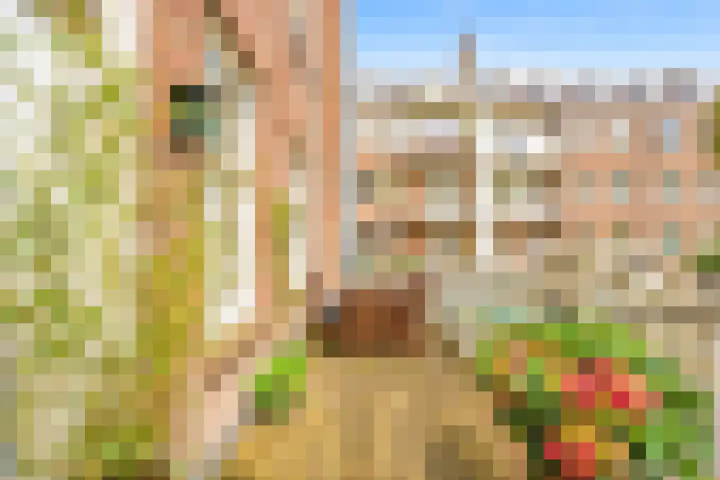 Scheldestraat 31 1 Amsterdam thumbnail 33