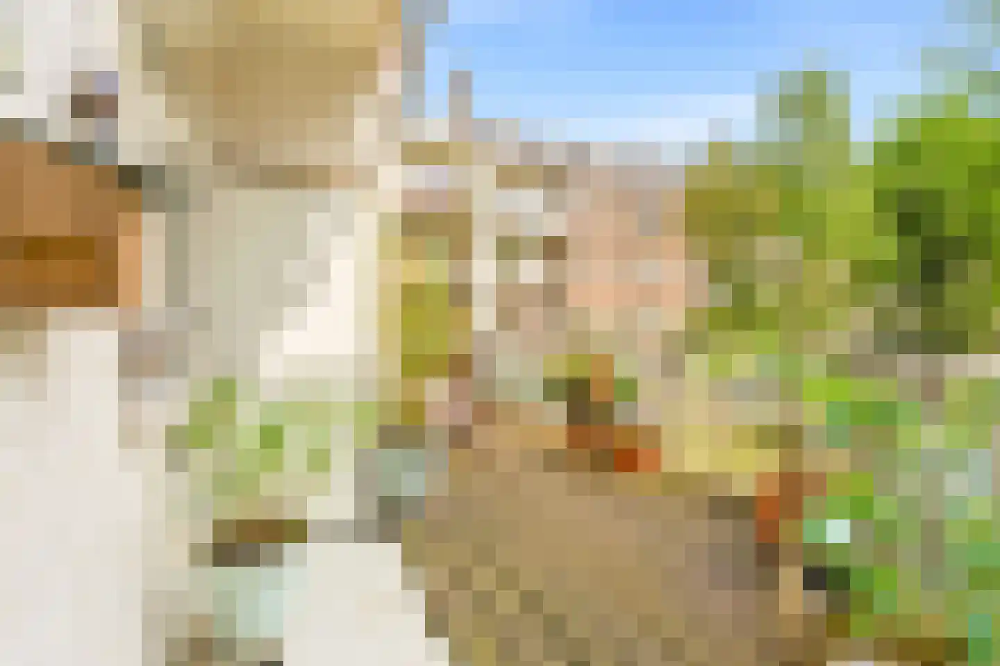 Scheldestraat 31 1 Amsterdam thumbnail 4