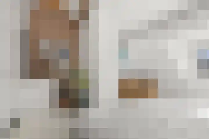 Scheldestraat 31 Utrecht thumbnail 31