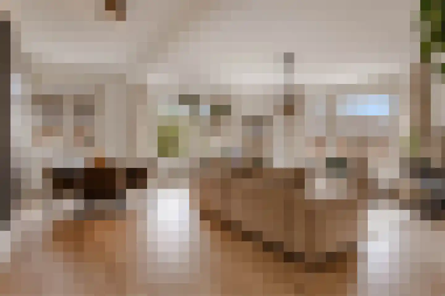 Scheldestraat 35 3 Amsterdam thumbnail 9