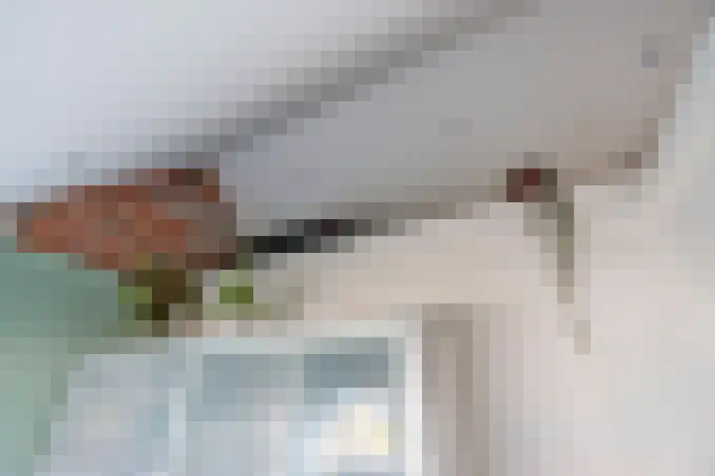 Scheldestraat 35 Utrecht thumbnail 29