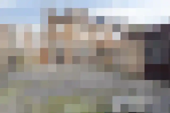 Scheldestraat 36 Purmerend thumbnail 23