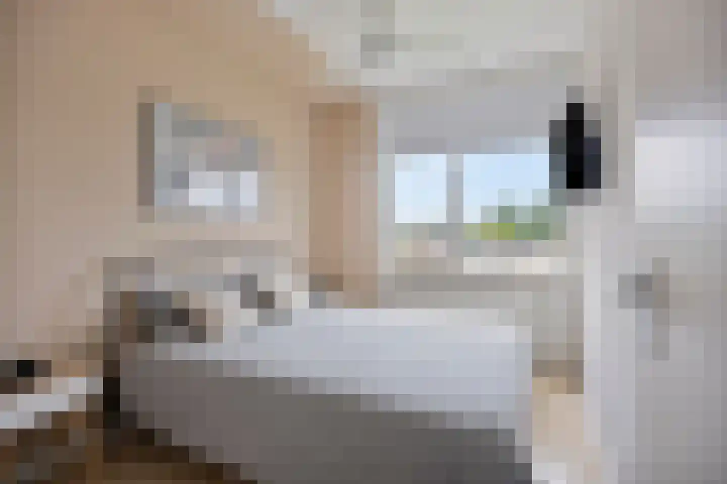 Scheldestraat 39 Purmerend thumbnail 17