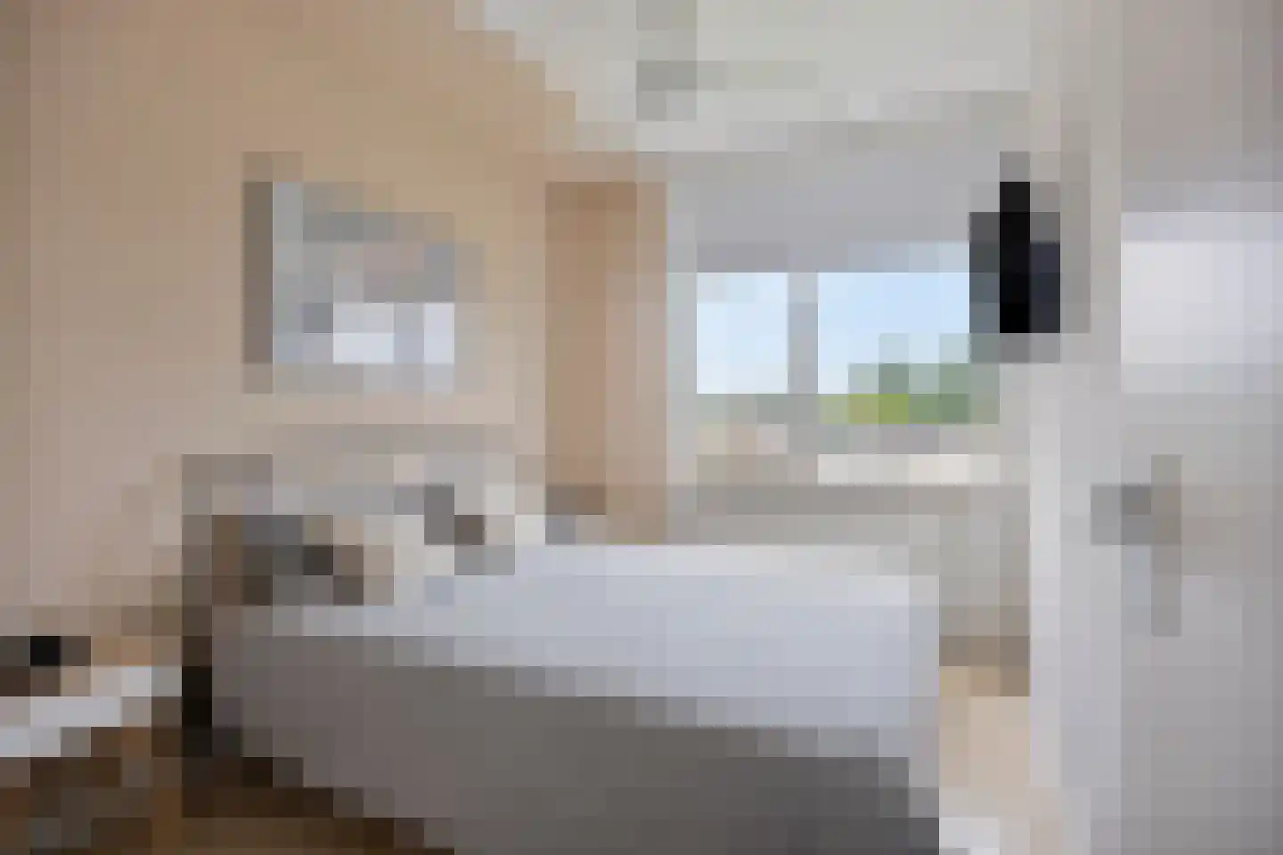 Scheldestraat 39 Purmerend thumbnail 17