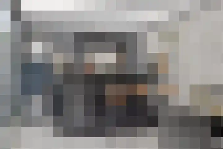 Scheldestraat 39 's-Hertogenbosch thumbnail 30