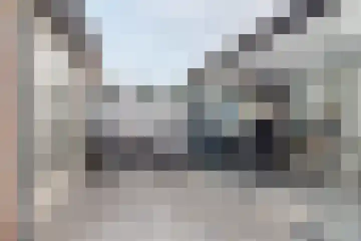 Scheldestraat 39 's-Hertogenbosch thumbnail 4