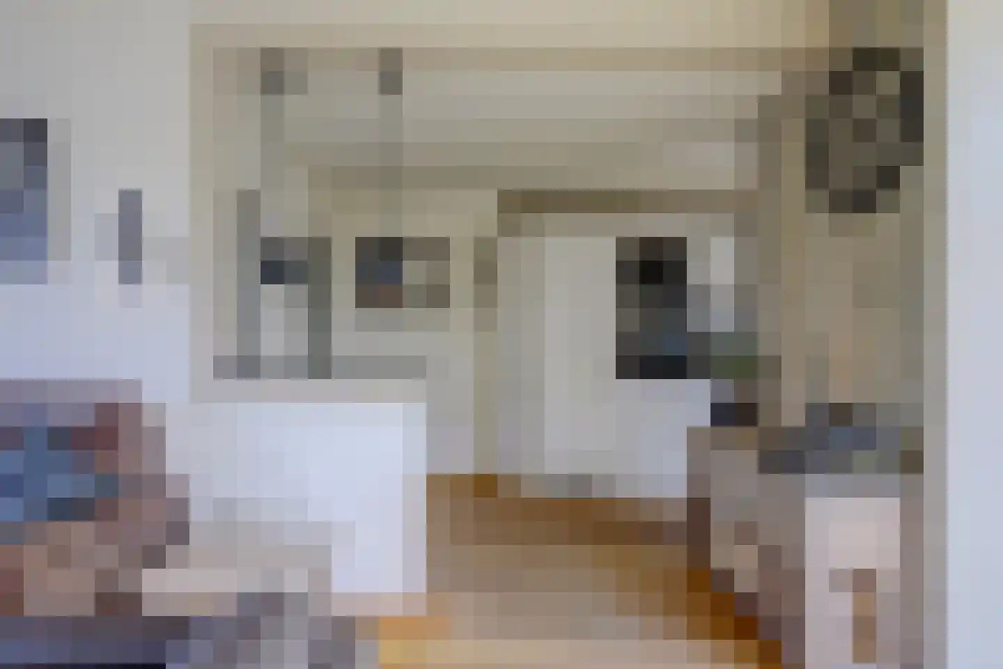 Scheldestraat 42 Lewedorp thumbnail 10