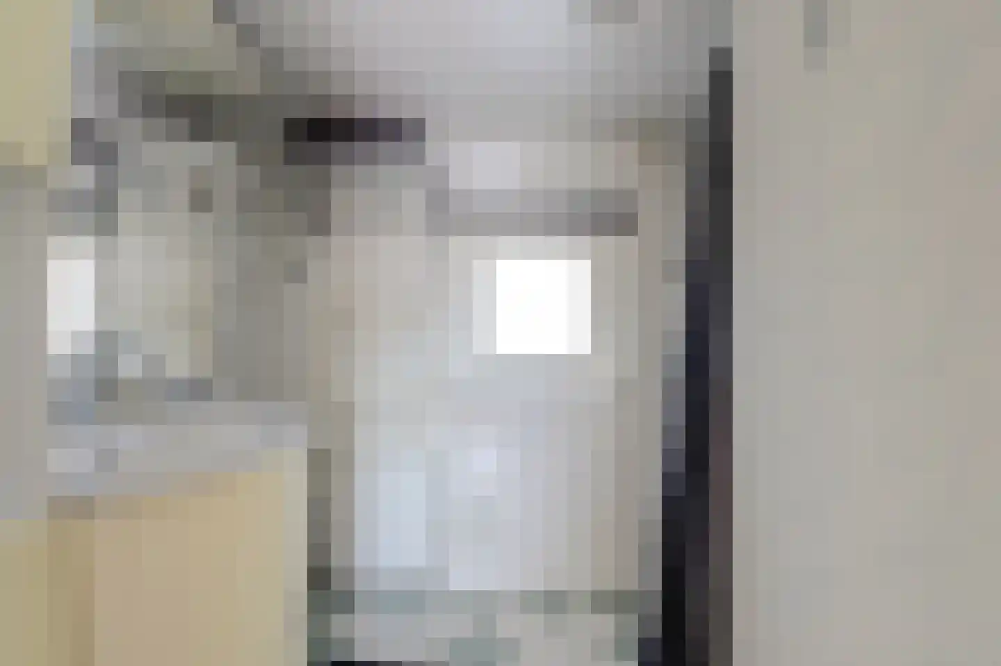 Scheldestraat 42 Lewedorp thumbnail 29