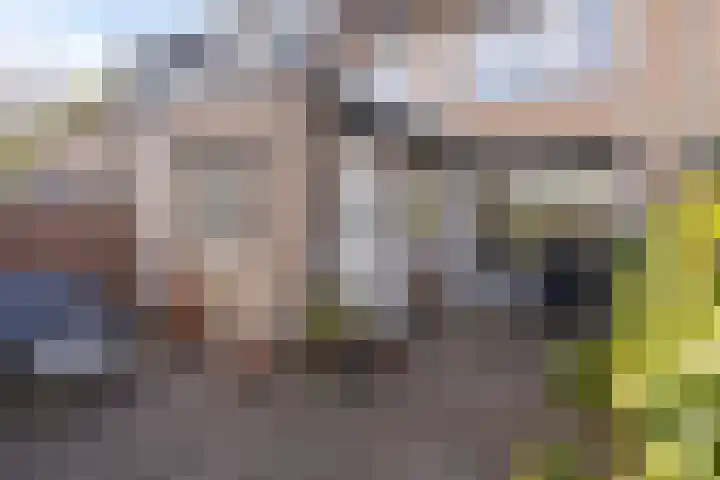 Scheldestraat 43 's-Hertogenbosch thumbnail 14