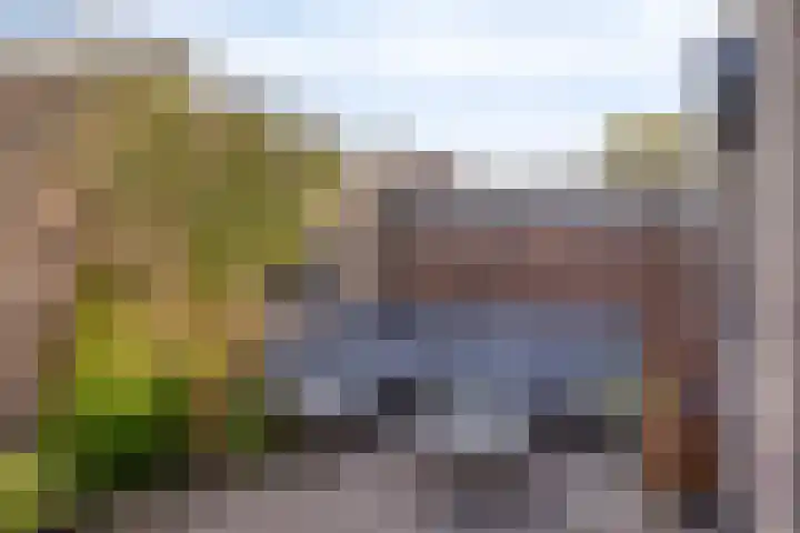 Scheldestraat 43 's-Hertogenbosch thumbnail 15