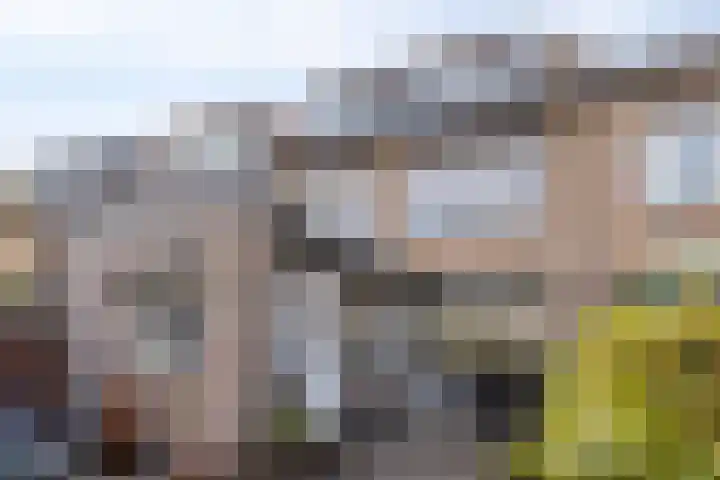 Scheldestraat 43 's-Hertogenbosch thumbnail 16