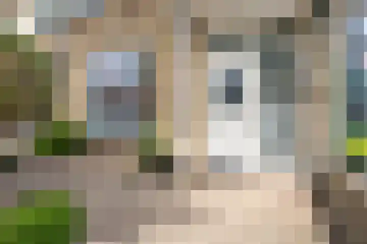 Scheldestraat 5 IJmuiden thumbnail 4