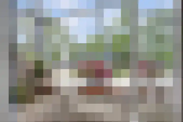 Scheldestraat 50 Alkmaar thumbnail 31