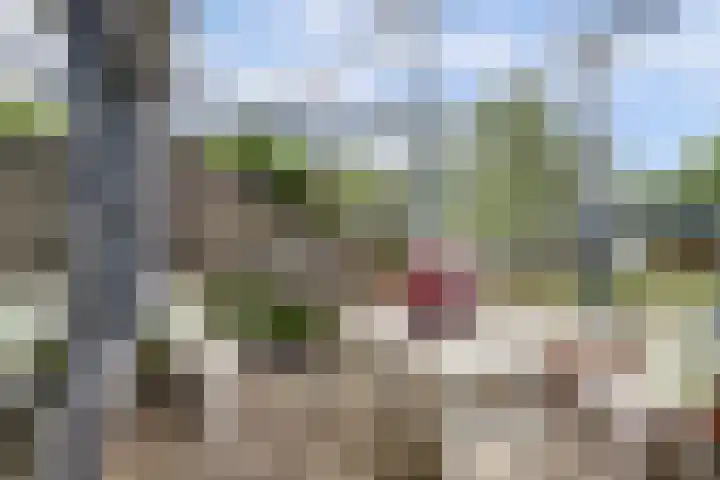 Scheldestraat 50 Alkmaar thumbnail 33