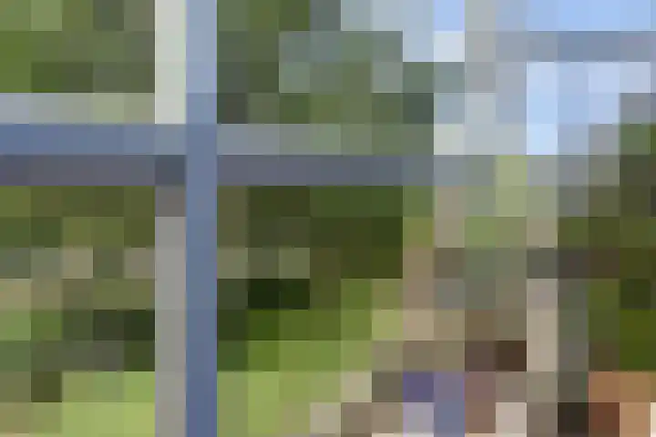 Scheldestraat 50 Alkmaar thumbnail 34