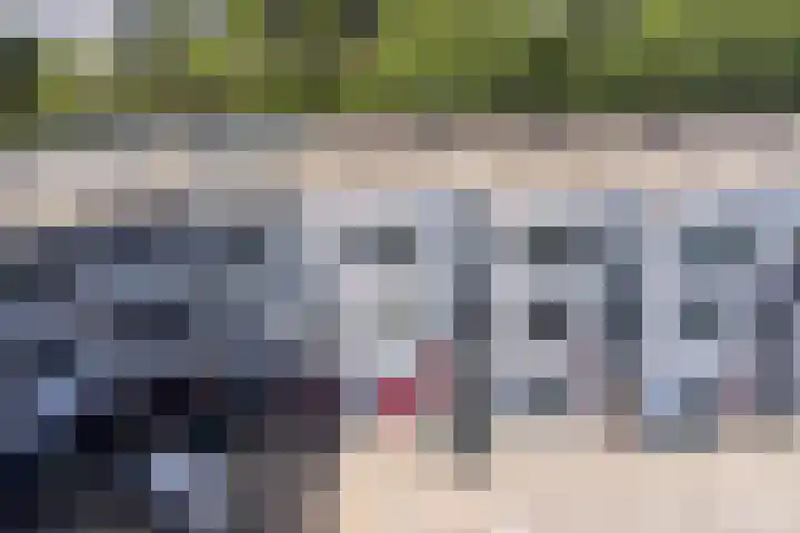 Scheldestraat 50 Alkmaar thumbnail 41