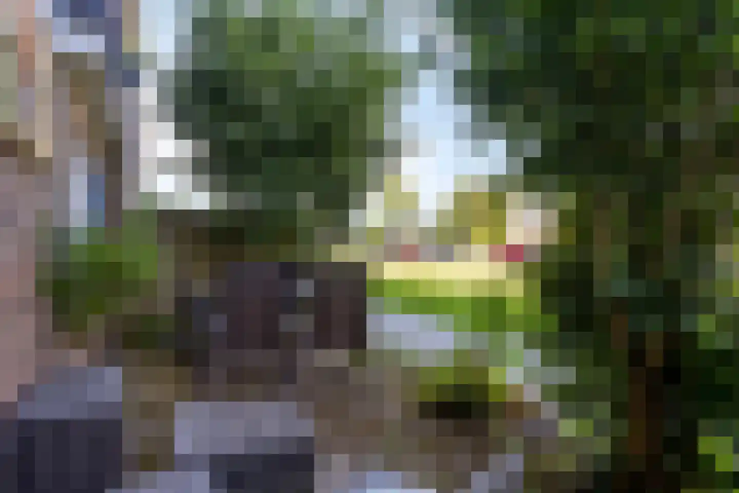 Scheldestraat 59 Purmerend thumbnail 34