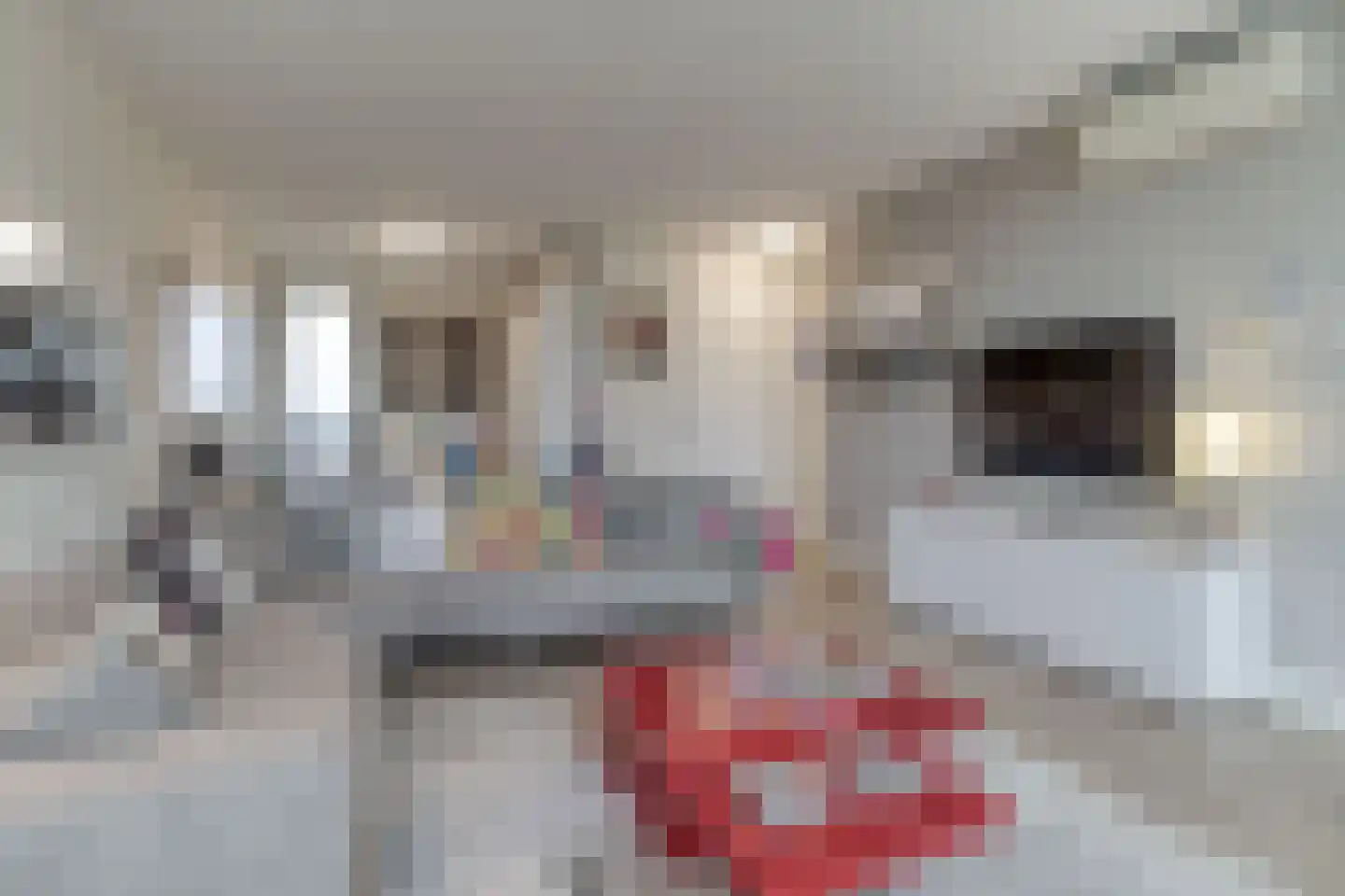 Scheldestraat 6 D Cadzand thumbnail 13